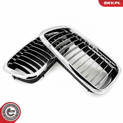 GRILA RADIATOR ESEN SKV 66SKV215 3