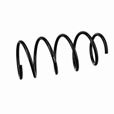 ARC SPIRAL EIBACH R11070 6