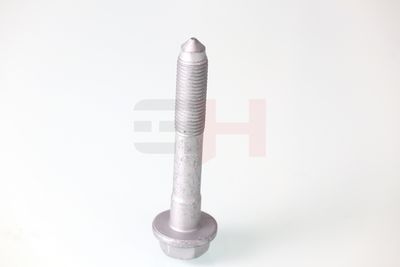 41 Artikelbild