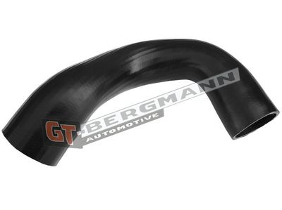 GT-BERGMANN Automotive - Hadica plniaceho vzduchu (hadica turba) VW, SEAT , GT52-456
