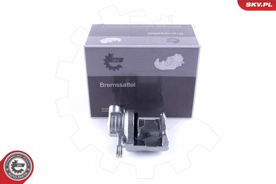 Brake Caliper 55SKV283