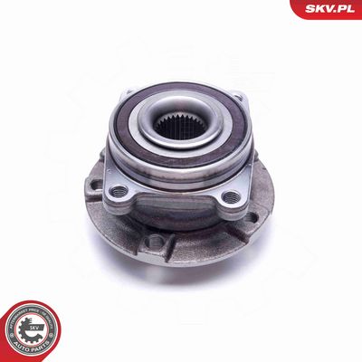 SET RULMENT ROATA ESEN SKV 29SKV491 3