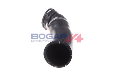FURTUN EAR SUPRAALIMENTARE BOGAP B1711116 2