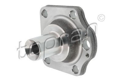 BUTUC ROATA CORP AXA