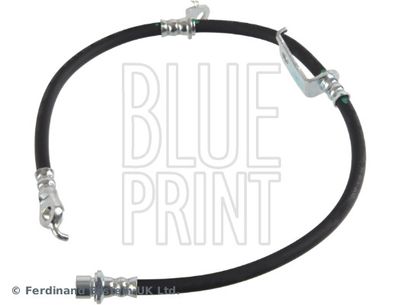 FURTUN FRANA BLUE PRINT ADBP530022