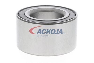 SET RULMENT ROATA ACKOJA A320020 46