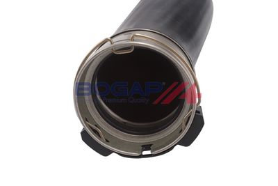 FURTUN EAR SUPRAALIMENTARE BOGAP B1711152 2
