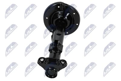 AMORTIZOR NTY AME033 17