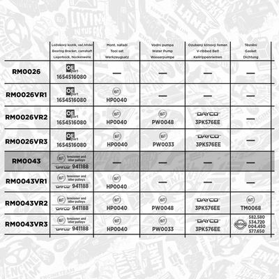 SET CUREA DE DISTRIBUTIE ET ENGINETEAM RM0043 1