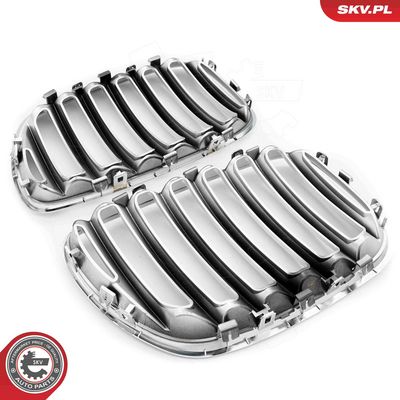 GRILA RADIATOR ESEN SKV 66SKV279 4