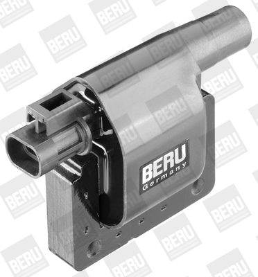 BorgWarner (BERU) Zündspule