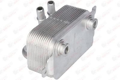 RADIATOR ULEI ULEI MOTOR BIRTH 8960 5