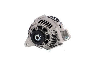 GENERATOR / ALTERNATOR REMANTE 011003000241R 63