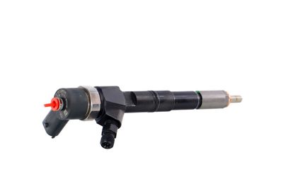 INJECTOR REMANTE 002003001674R 35