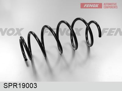 FENOX SPR19003 Пружина підвіски 