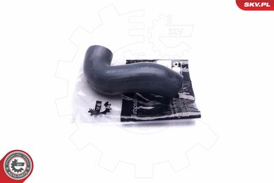 FURTUN EAR SUPRAALIMENTARE