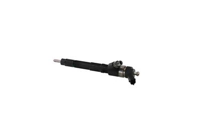 INJECTOR REMANTE 002003000037R 18