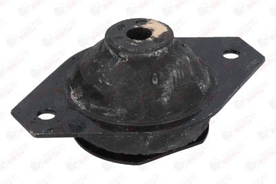 SUPORT MOTOR BIRTH 5338 12