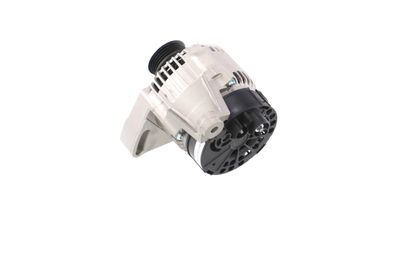 GENERATOR / ALTERNATOR REMANTE 011003000365R 25