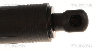 Plynárenská vzpera (pneumatická pružina), zavazadlový priestor TRISCAN 8710 23319