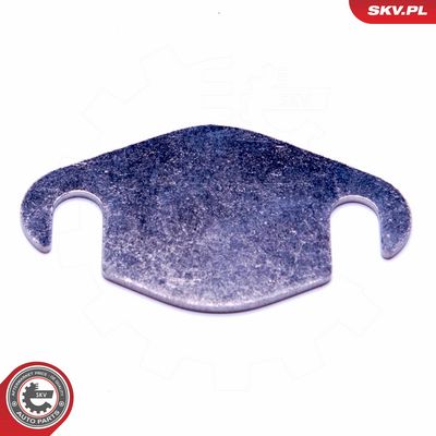 Remonto komplektas, AGR vožtuvas