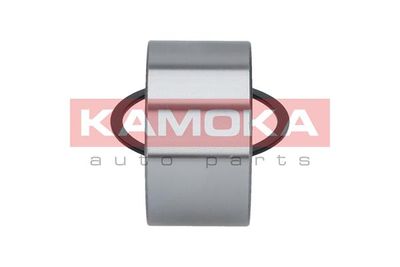 Wheel Bearing Kit 5600029