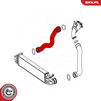 Kompresoriaus padavimo žarna