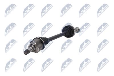 PLANETARA NTY NPWCT163 36