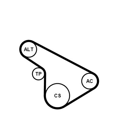 CONTINENTAL CTAM Keilrippenriemensatz