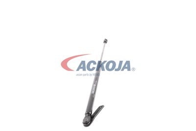 AMORTIZOR PORTBAGAJ ACKOJA A260083 50