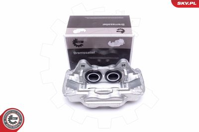 Brake Caliper 50SKV092