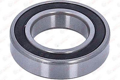 LAGAR INTERMEDIAR AX CARDANIC BIRTH 6621 8