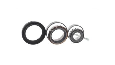 RADLAGERSATZ SKF VKBA528 21