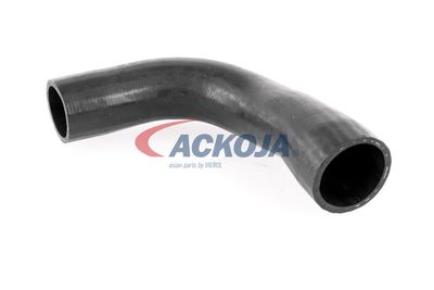 FURTUN EAR SUPRAALIMENTARE ACKOJA A389600 15