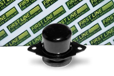 окачване, двигател FIRST LINE FEM3128
