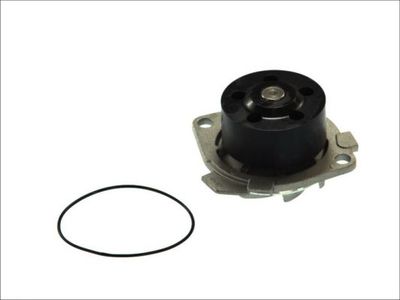 Water Pump, engine cooling D1D018TT