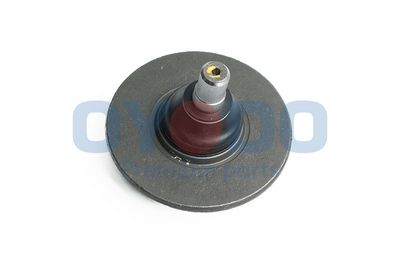 Šarnyras / girgždukas