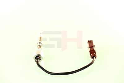 SENZOR TEMPERATURA GAZE EVACUARE GH GH744765 30