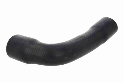 FURTUN EAR SUPRAALIMENTARE VAICO V401356 1