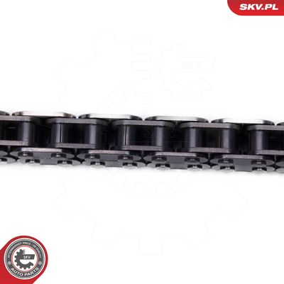 Timing Chain Kit 21SKV254