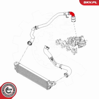 FURTUN EAR SUPRAALIMENTARE ESEN SKV 24SKV883 3