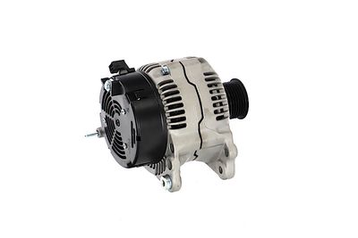 GENERATOR / ALTERNATOR REMANTE 011003000195R 39