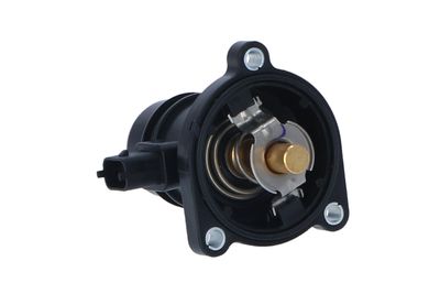TERMOSTAT LICHID RACIRE NRF 725024 43