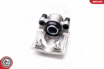 Brake Caliper 34SKV074