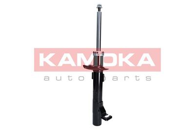 Shock Absorber 2000259