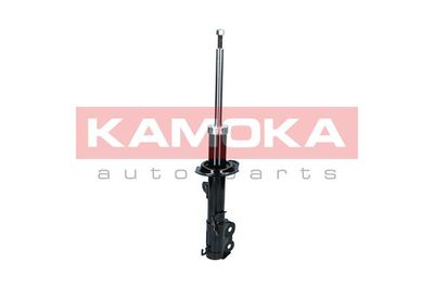 Shock Absorber 2000118