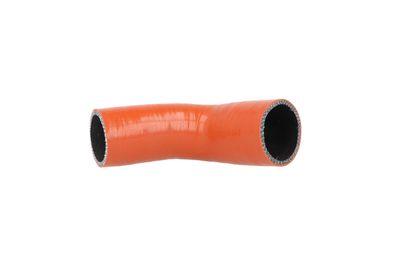 Charge Air Hose 166350