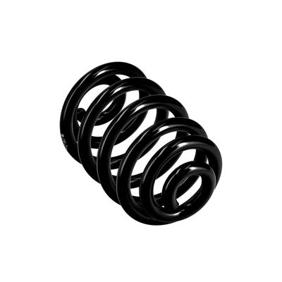 ARC SPIRAL EIBACH R10010 11