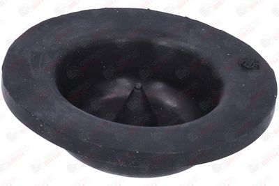 SAIBA ARC BIRTH 53805 8