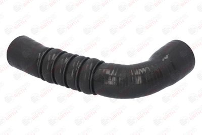 FURTUN EAR SUPRAALIMENTARE BIRTH 55588 8